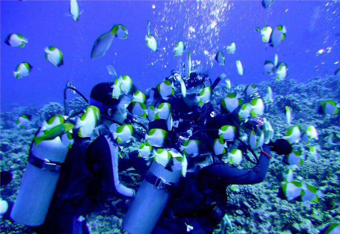 举目大视野,手可摘星辰, 第四代奔腾B70